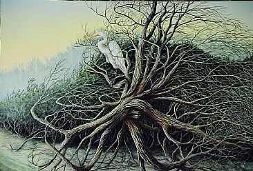 Beach Bum - White Egret by C. Frederick Lawrenson