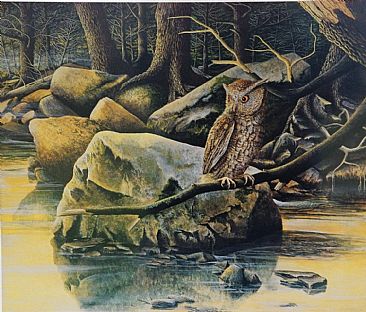 Evening Watch Over the Asaph - Screech Owl by C. Frederick Lawrenson