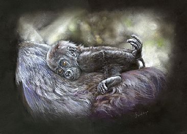 On for the Ride - Baby gorilla by Geraldine Simmons