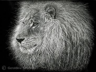 Crowning Glory - Lion by Geraldine Simmons