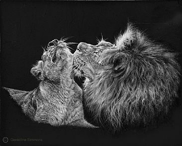 Heart Space - Lions by Geraldine Simmons