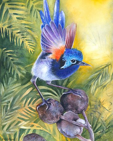 Waiting for a friend - Fairy-wren by Geraldine Simmons
