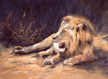 Resting Lion - Black Maned Lion  by Angela Drysdale