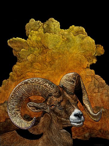 Thunderhead - Desert Bighorn Ram by Rick Wheeler