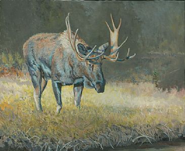Changing Season - Moose by Craig Magill