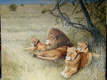 Siesta - lion family by Josephine Smith