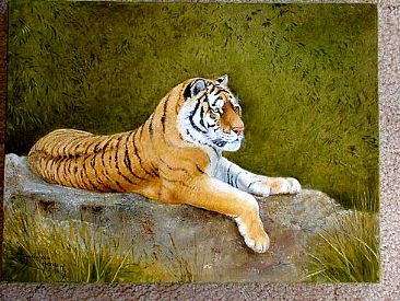 contemplation - reclining tiger by Josephine Smith
