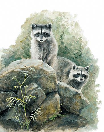 King of the Castle - Raccoons by Lindsey Foggett