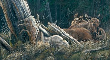 A Safe Place - Moose Calves by Lindsey Foggett