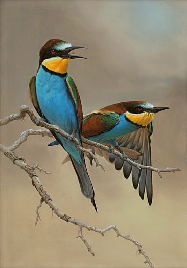 Bee-eaters -  by Hans Kappel