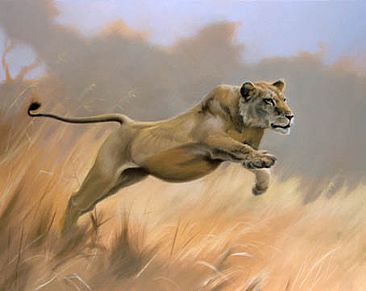 Hunting Lioness (Study) -  by Hans Kappel