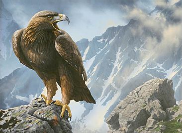 Golden Eagle -  by Hans Kappel