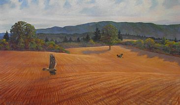 Gleaners - Beull Oregon after wheat harvest; Harriers by Jon Janosik