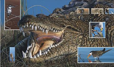 Along the Waterfront - Crocodile and other African species by David Kitler