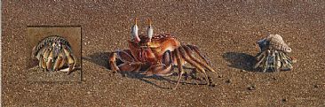 Beachfront Property - Hermit and Ghost Crabs by David Kitler