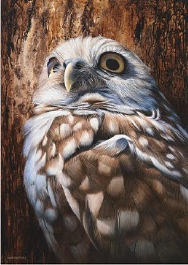 Larger than Life - Burrowing Owl - Burrowing Owl by David Kitler
