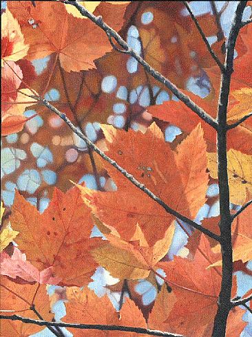Orange Maple Leaves - Orange Maple Leaves by  Harlan