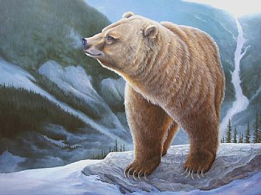 Griz-Spring Surveillance - Grizzly Bear by Robert Schlenker
