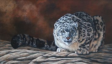 Fixation - Snow Leopard by Leslie Kirchner