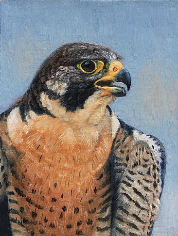 Ready To Hunt- Peregrine - Peregrine Falcon by Leslie Kirchner