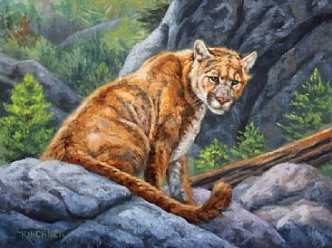 Waiting For Opportunity- Cougar - Cougar by Leslie Kirchner