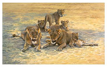 Any Shade Will Do - Lions by Lyn Ellison