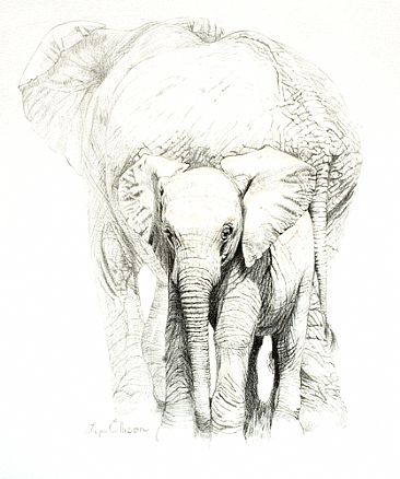 My Mother Is Bigger Than Yours - Elephant and calf by Lyn Ellison