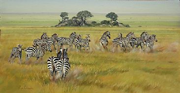 A Dazzle of Zebras - Zebras by Lyn Ellison