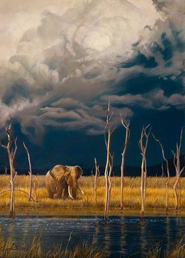 Storm Over Matusadona - African elephant by Lyn Ellison