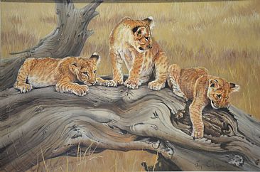 Triple Trouble - Lion cubs by Lyn Ellison