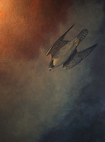 Hot Pursuit - Peregrine falcon by Raymond Easton