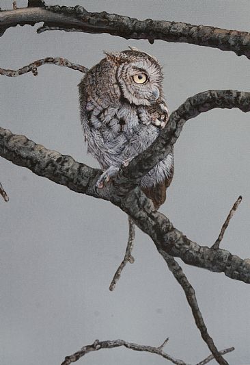 Eventide (detail) - Eastern screech owl by Raymond Easton