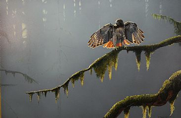 Red Reign - Red-tailed hawk by Raymond Easton