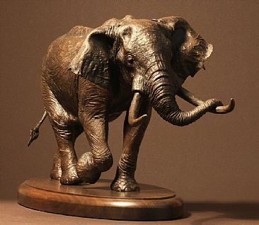 Dionysus - African Bull Elephant by Douglas Aja