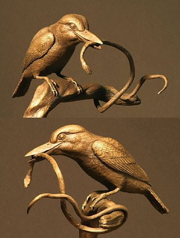 Brown-hooded Kingfisher -  by Douglas Aja