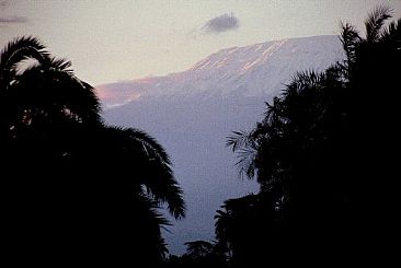 Kilimajaro Sunrise (color) -  by Douglas Aja