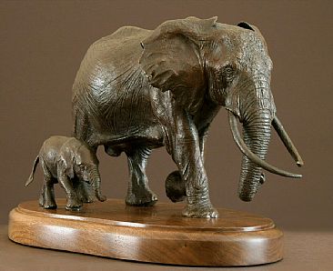 Echo & Calf - African Elephant by Douglas Aja