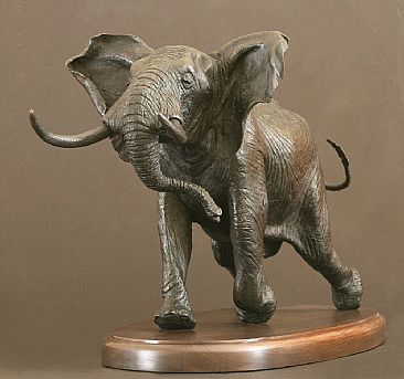 Final Warning - African Elephant by Douglas Aja