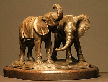 Orphans - African Elephant by Douglas Aja