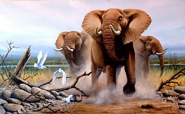 Power Trip - Bull Elephants by Graham Jahme