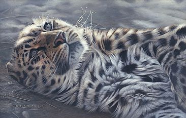 A Perfect World - Amur Leopard - Limited edition gicle watercolour paper print of A Perfect World is available for $199.00 framed. by Michael Pape
