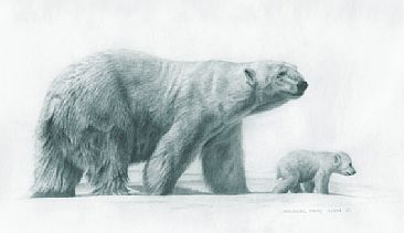 Arctic Edge study - Polar Bear & Cub - Original has been sold. by Michael Pape