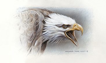 Bald Eagle Study - Bald Eagle Study - Original Acrylic Painting /Study has been sold. Limited edition canvas giclée print is avilable for $199.00 framed. by Michael Pape
