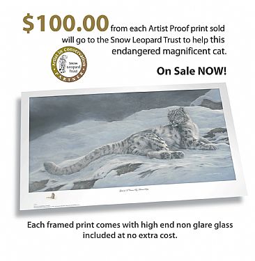 Ghost of a Chance - Snow Leopard Ducks Unlimited Artist Proof Lithograph - Snow Leopard by Michael Pape