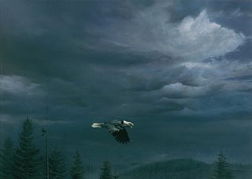 Through the Storm - Bald Eagle - Limited edition giclée canvas print is available for $1100.00 framed. by Michael Pape