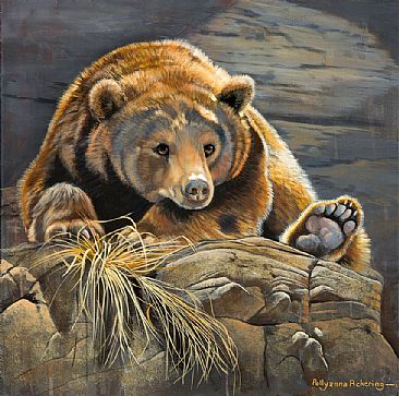 On the Rocks - Grizzly bear by Pollyanna Pickering