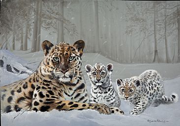 Rarest of the Rare - Amur Leopards by Pollyanna Pickering