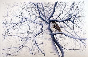 The Tree - Tawny Owl by Pollyanna Pickering