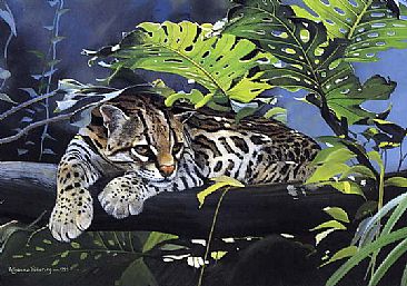 Heart of the Jungle - Margay by Pollyanna Pickering