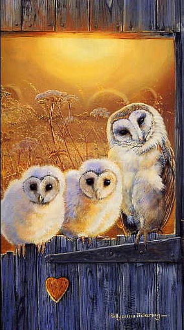 Home is where the Heart is - Barn owls by Pollyanna Pickering